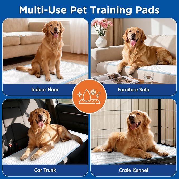 Extra Large Dog Pee Pads 31x47 Inch - Heavy Duty 6-Layer Leak-Proof, Super Absorbent & Quick-Dry for Potty Training, 40 Count