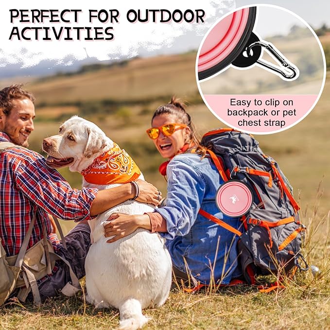 Collapsible Dog Bowls, 2 Pack, with Carabiners, Green & Pink, Small