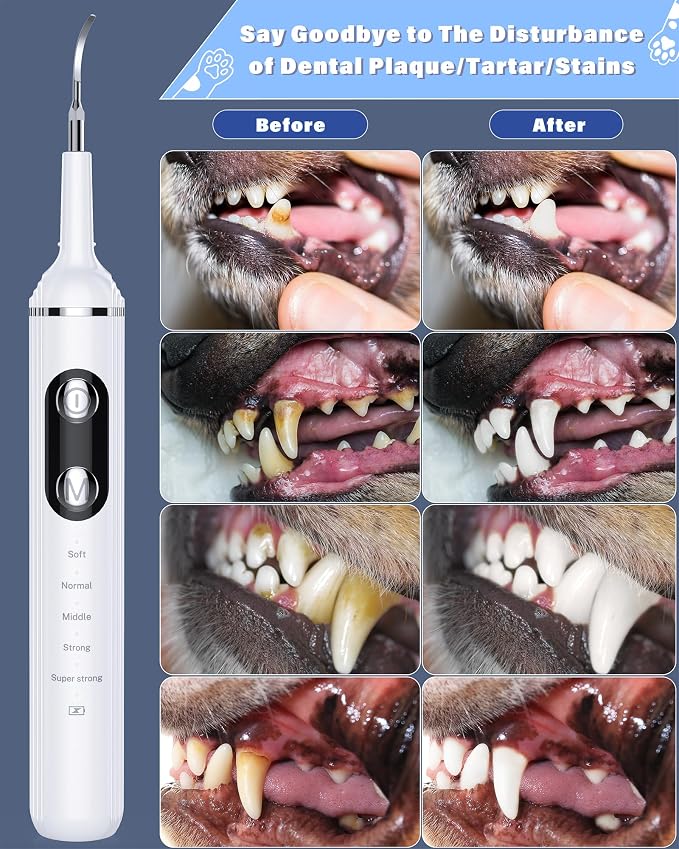 NATURE NERDS Plaque Remover for Teeth, Pet Tooth Brushing Kit, Dental Tools to Remove Plaque and Tartar, Safe for Dog and Cat, with LED Light, White