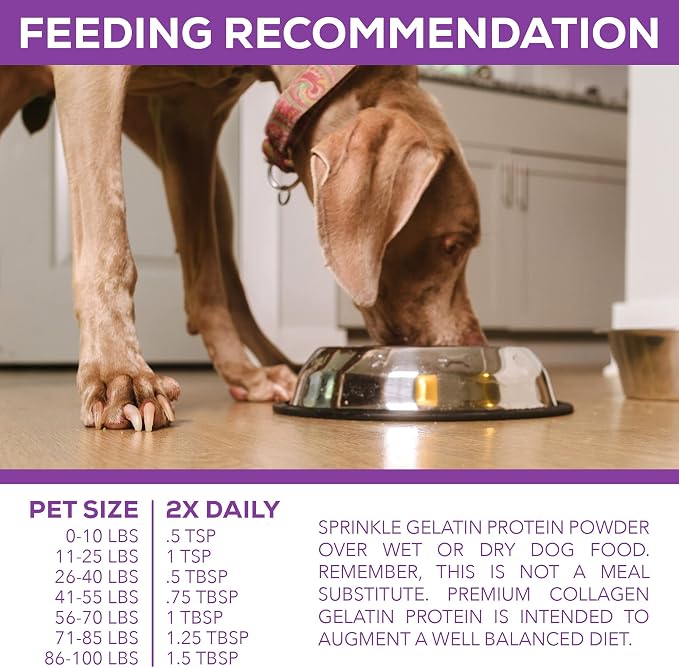 Premium Collagen Gelatin Protein for Dogs, 3Lb