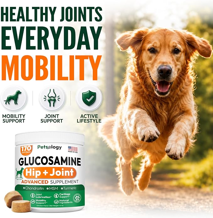 Glucosamine for Dogs, 170 Chews, Hip and Joint Supplement for Dogs | Glucosamine Chondroitin for Mobility - MSM & Turmeric - Joint Pain Relief - Advanced Joint Support for Dogs - Made in USA