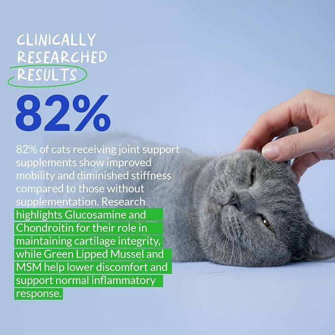 Hip & Joint Powder for Cats - Glucosamine, MSM & Green Lipped Mussel