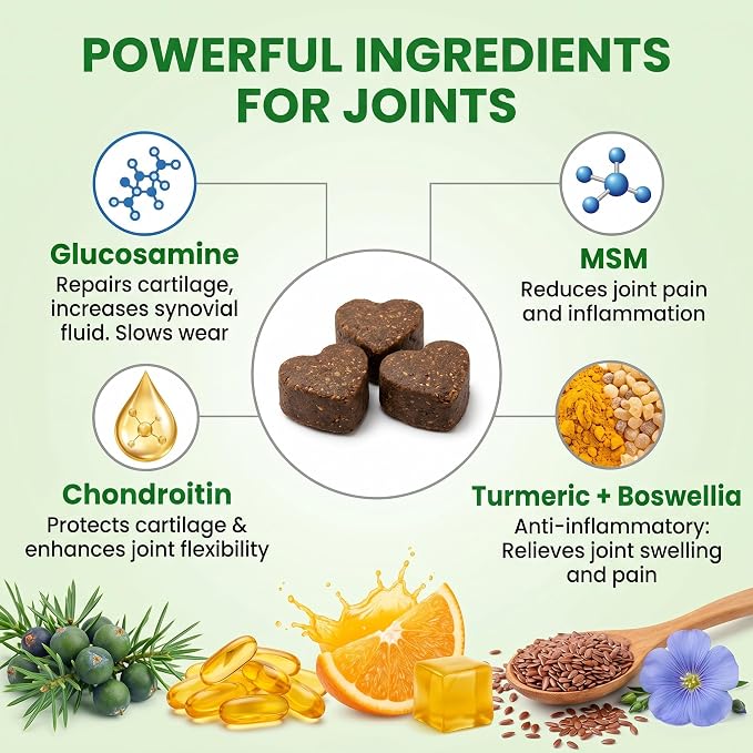 Hip & Joint Supplement for Dogs - Glucosamine, Chondroitin, MSM, Green Lipped Mussels & Turmeric - Natural Arthritis Pain Relief & Mobility Support for All Ages - 200 Soft Chews