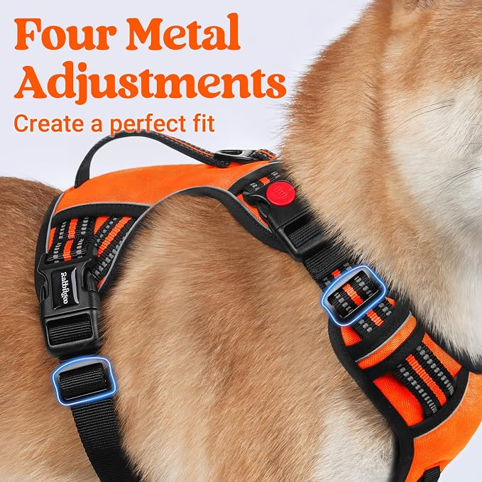 rabbitgoo Large Dog Harness, Easy Wear with 3 Buckles and Lift Handle | No Pull with Front Clip for Walking, Adjustable Soft Padded, Reflective, Easy Control, Orange, Medium