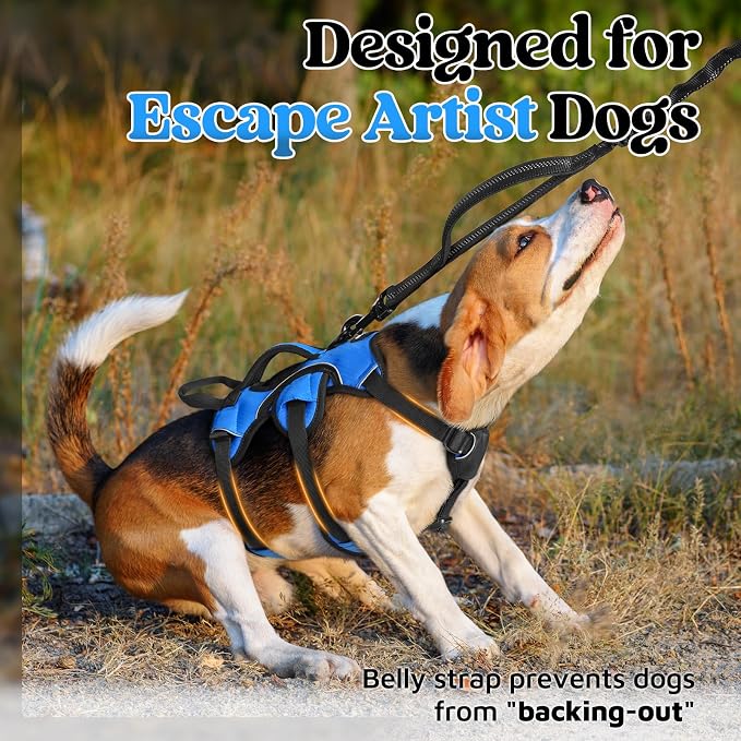 rabbitgoo Escape Proof Dog Harness for Small, No Pull with Lift Handle | No Escape, Full Soft Padded, Reflective Adjustable Vest, Leash Clip for Walking Hiking Training, Blue, Small