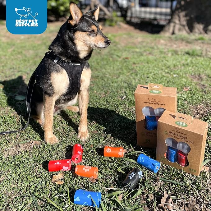 Best Pet Supplies Dog Poop Bags (360 Bags) for Waste Refuse Cleanup, Doggy Roll Replacements for Outdoor Puppy Walking and Travel, Leak Proof and Tear Resistant, Thick Plastic - Blue Strips