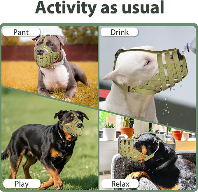 Pitbull Dog Muzzle for Large Medium Dogs Prevent Biting Scavenging | Fits Rottweiler Amstaff Broad-nosed Breed, Sturdy Breathable Basket, Training Walking Use, Allows to Drink | Green, L