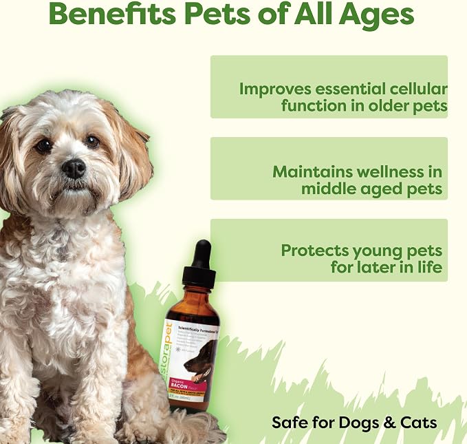 RestoraPet 1-Pack Dog & Cat Bacon Liquid Multivitamin | Dog Arthritis Pain Relief | Hip & Joint Vitamins for Dogs - Anti Inflammatory Supplement for Dogs & Cats | Plant-Based, Non-GMO, Vet Approved