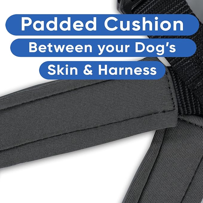 Pawtitas Reflective Padded Dog Harness for X-Small Dogs – Adjustable Puppy Step-in Vest | Fits Chest 14–18 in | No Pull Training Harness | XS | Black