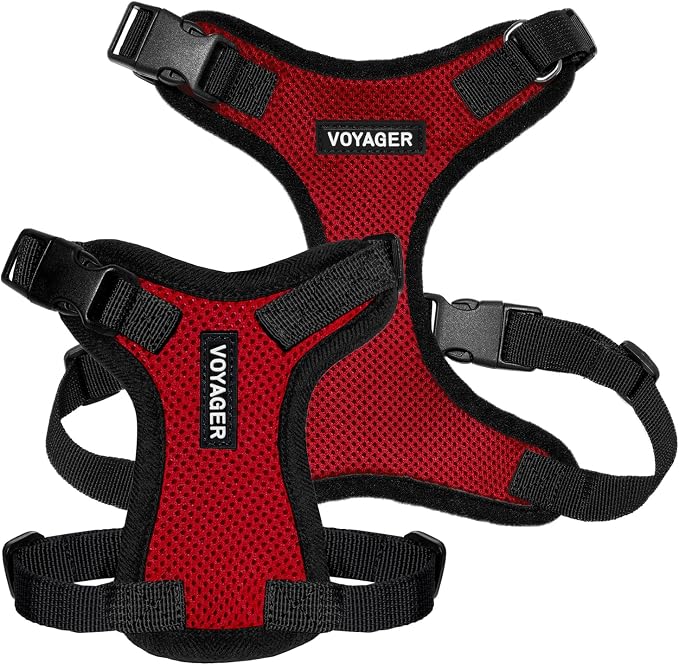 Voyager Step-in Lock Dog Harness - Red/Black Trim, X-Small | 13 - 16" in Chest, Adjustable, Breathable Air Mesh, Lightweight for Daily Walks, Strong Clips, Heavy Duty D-Ring