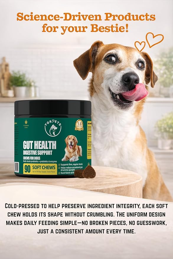 Dog Probiotic Soft Chews – Gut Health & Digestive Support with 1.5 Billion CFU Probiotics, Prebiotics & Enzymes – Helps Improve Stool Quality – All Breeds