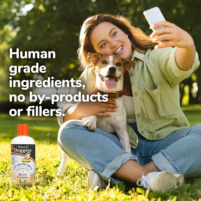Dressing Best Hip and Joint Supplement for Dogs, Glucosamine & Chondroitin/Joint Health/Salmon Oil for Dogs Skin and Coat Health, Delicious Beef Gravy Flavor, 32 Oz