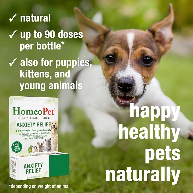 HomeoPet Anxiety Relief