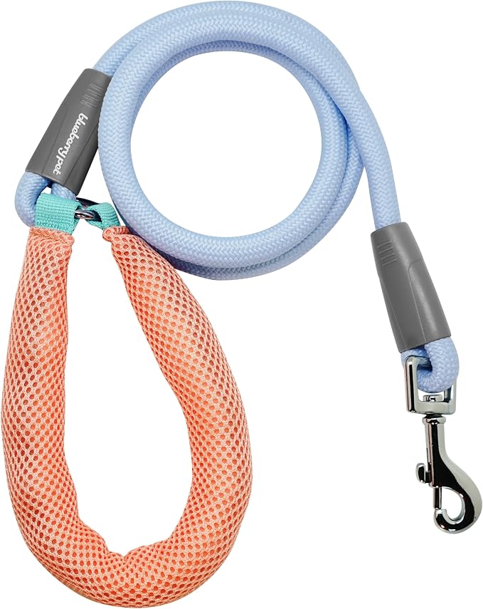 Blueberry Pet Dog Leash - Vibrant Mesh Puffer Handle, Dog Accessories Girl, Puppy Essentials, Heavy Duty Dog Leashes for Large Dogs, Girl Dog, 4ft Durable Rope, Light Blue/Coral