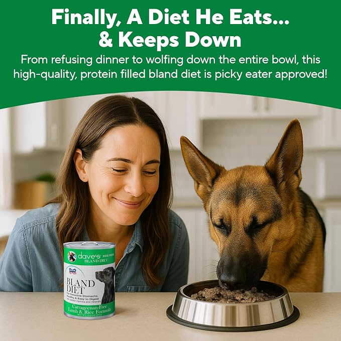 Dave's Pet Food Bland Dog Food for Sensitive Stomachs, Lamb & Rice 13.2 oz