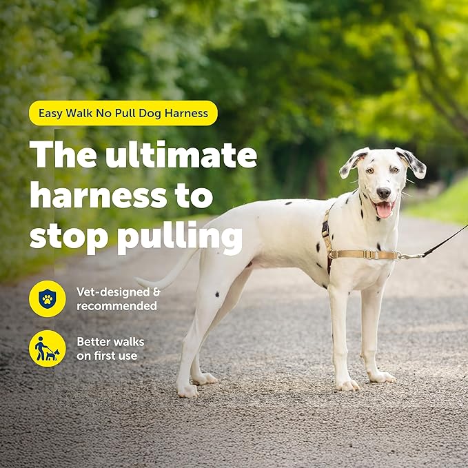PetSafe Easy Walk Harness for Dogs - Pull-Free Walks - Patented Martingale Loop Design - Front Chest Leash Attachment - Comfort Straps - Breathable Harness Design - Medium/Large, Fawn