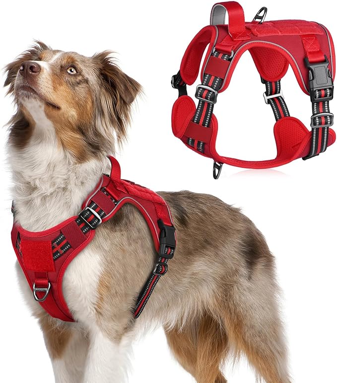 rabbitgoo Tactical Dog Harness for Medium, No Pull Military Service Vest | Molle & Handle, Heavy Duty, Adjustable, Reflective Straps, Easy Control for Training Walking, Red, Medium