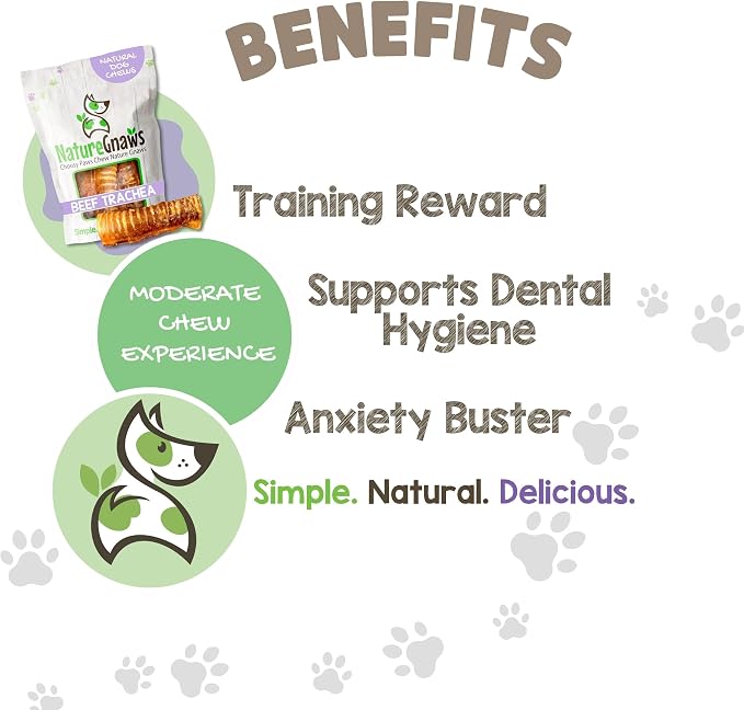 Nature Gnaws Beef Trachea Chews for Dogs 6" (6 Count) - Long Lasting Natural Crunchy Dog Chew Bones - Rawhide Free (Pack of 2)