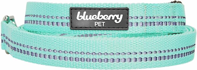 Blueberry Pet 3M Reflective Pastel Color Dog Leash with Soft & Comfortable Handle, 5 ft x 5/8", Mint Blue, Small, Leashes for Dogs