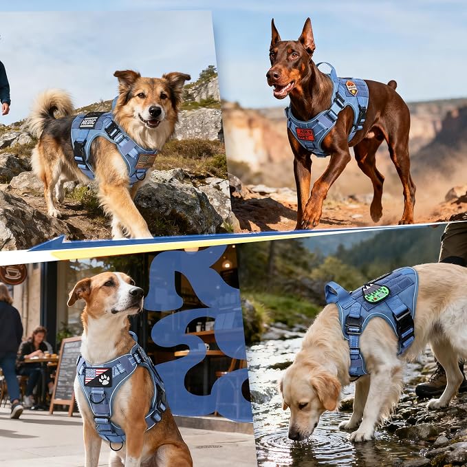 rabbitgoo Tactical Dog Harness for Large, Heavy Duty Military No Pull Vest | Sturdy Metal Buckles, 5 Adjustments, Molle System, Powerful Pullers for Training, Hunting, Outdoor, Blue Reflex, Large