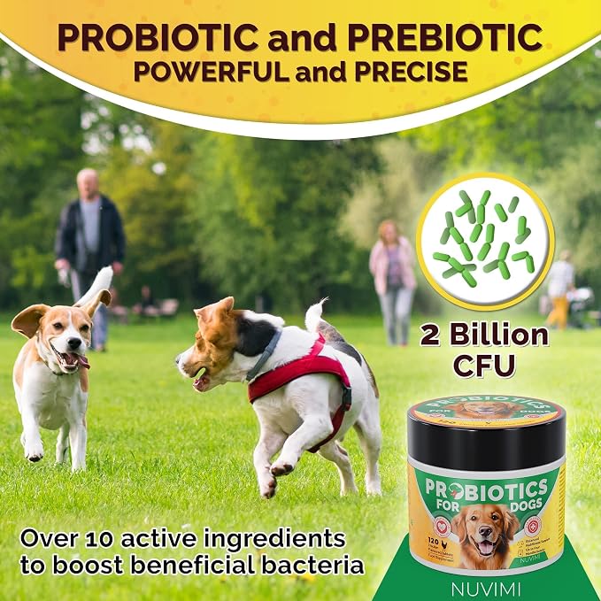 Probiotics for Dogs - Dog Probiotic & Prebiotic Tablets - Digestive Support Supplement for Gut Health, Tummy Relief, Itching, Diarrhea, Allergies, Bad Breath - 120 Chicken Flavor