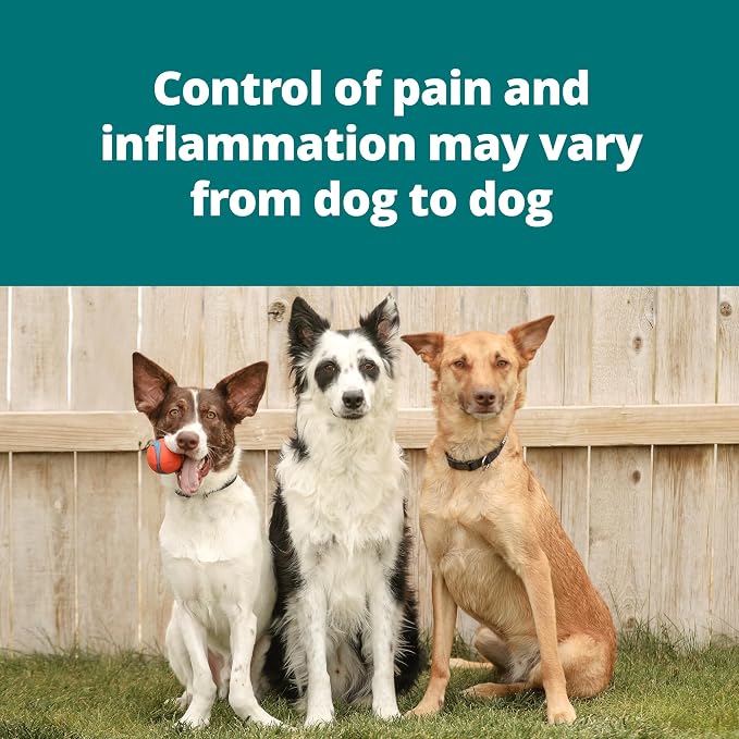 Rederox® Chewable Tablets for Dogs, 100mg, 30 Tablets