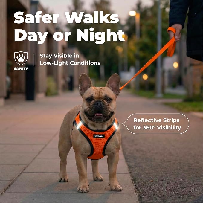 Best Pet Supplies Voyager Step-in Air Harness - All Weather Mesh, Reflective, No Pull Harness for Dogs, Cats - Secure with Hook & Loop Fastener, Buckle, Double D-Rings - Orange/Black Trim, XXS