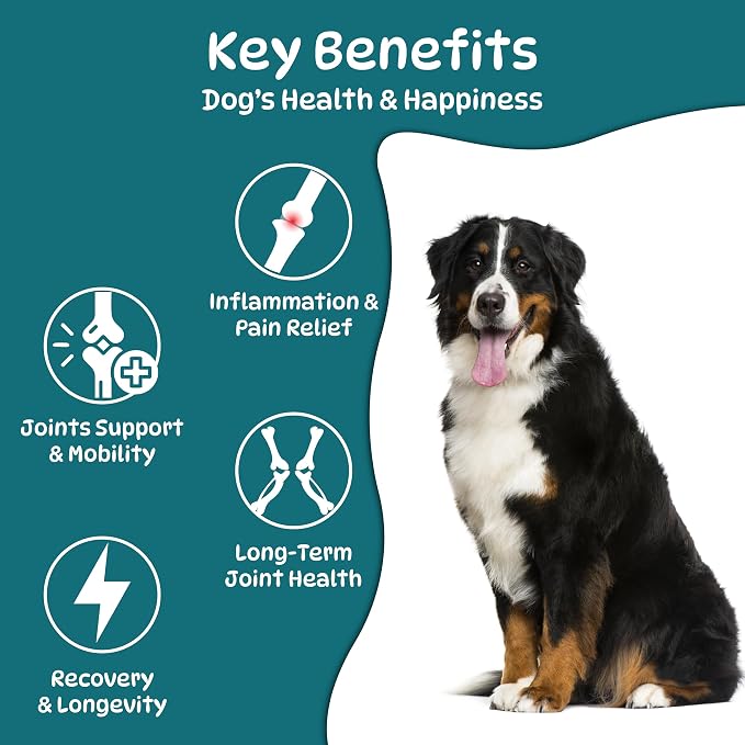 Dog Hip and Joint Supplements, Glucosamine Chondroitin & Green Lipped + Omega-3 & Turmeric + MSM, Treats Improve Joint Function & Mobility in All Ages (Chicken Flavour 100 Chews)