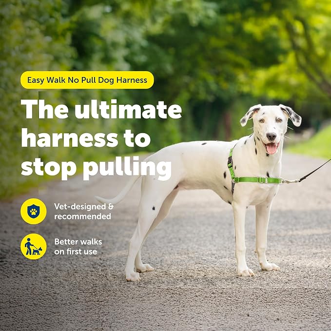 PetSafe Easy Walk No-Pull Dog Harness - Ultimate Harness to Help Stop Pulling - Pull-Free Walks - Take Control & Teach Better Leash Manners - Patented Martingale Loop Design - Apple Green,Medium/Large