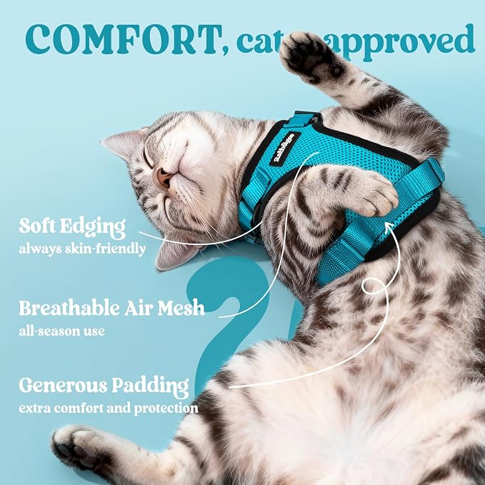 rabbitgoo Cat Harness and Leash Set, Escape Proof Vest, Teal | Soft Breathable Mesh, Easy Adjustable Fit, Snap Buckles, Sturdy Clip, Reflective Strips, for Small & Average Cats Walks, Xs