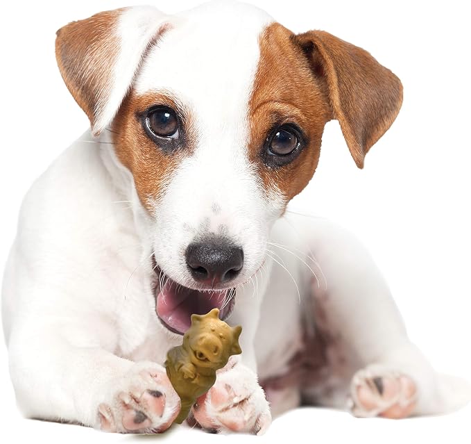 Nylabone Healthy Edibles Natural Puppy Chews Long Lasting Treats for Puppies, Lamb & Apple Flavor, Small/Regular (4 Count)
