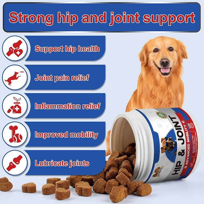 Hip & Joint Supplement Chews for Dogs – 200 Lamb Flavored Soft Chews with Glucosamine, MSM, Green Lipped Mussel, Turmeric, Collagen & Cod Liver Oil – Mobility Support for All Breeds & Ages