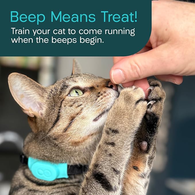 Tabcat V2 Cat & Kitten Tracker - More Accurate Than GPS - No Monthly Fee or Subscription - Includes 4 Homing Tags - Up to 150m Range - Small & Lightweight Tags Perfect to Find Indoor & Outdoor Cats