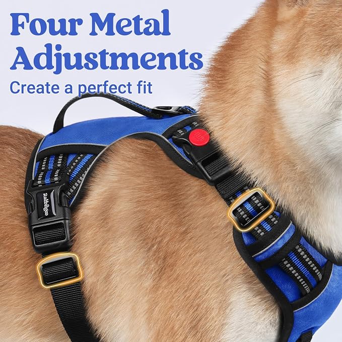 rabbitgoo Large Dog Harness, Easy Wear with 3 Buckles and Lift Handle | No Pull with Front Clip for Walking, Adjustable Soft Padded, Reflective, Easy Control, Blue, X-Large
