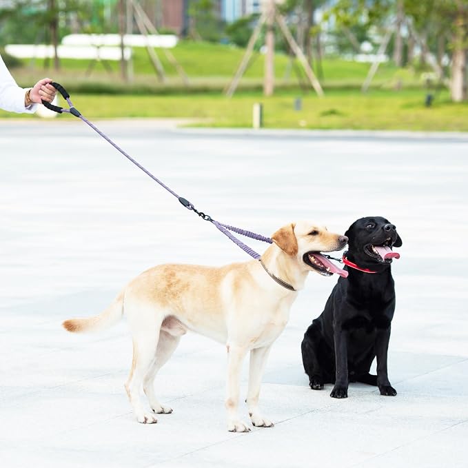iYoShop Double Dog Leash, 360° Swivel, No Tangle, Large, Lavender | Dual Leash for Two Dogs, Split Leash, Shock-Absorbing Bungee, Padded Handle, Heavy-Duty Rope