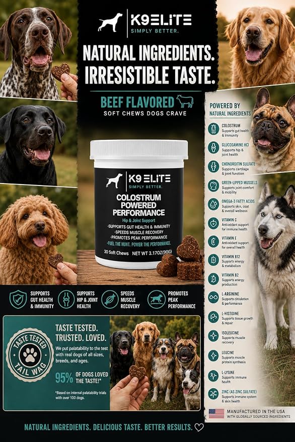Hip & Joint Supplement for Dogs – Glucosamine, Chondroitin, Green Lipped Mussel, Colostrum, Collagen & Omega-3 – Daily Joint, Mobility, Gut & Immune Support –