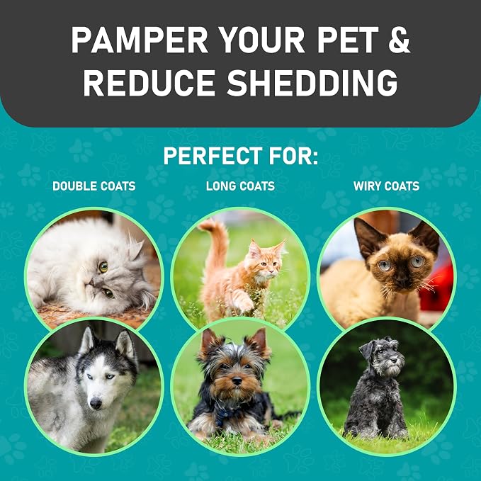 Maxpower Planet Pet Grooming Brush, Shedding Undercoat Rake, Dogs | Blue, Double-Sided Deshedding & Detangling, Gloves Included