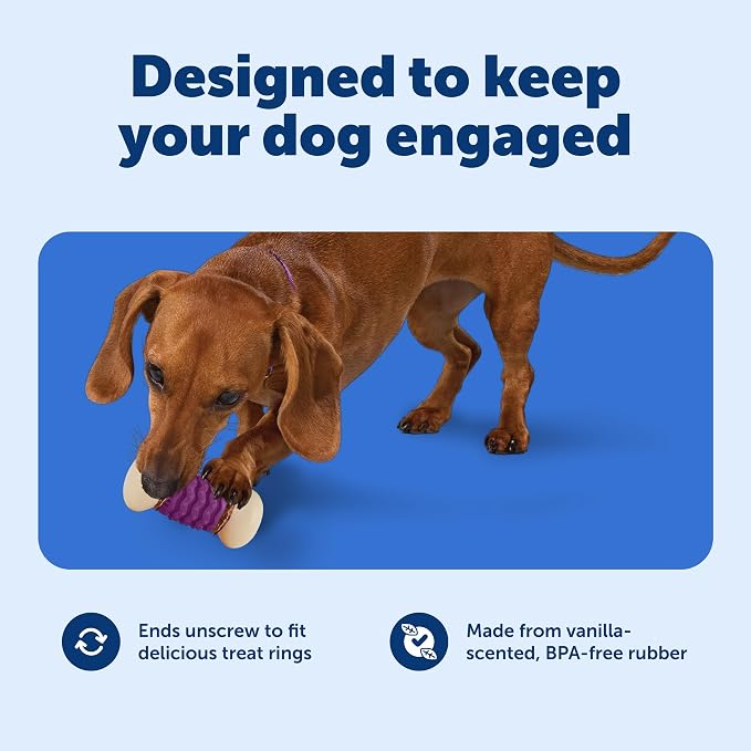 PetSafe Busy Buddy Nobbly Nubbly Treat Holding Dog Chew Toy, Large | Durable Nylon & Vanilla-Scented Rubber, Add Treat Rings or Peanut Butter, Top-Rack Dishwasher Safe, for Dogs 50-90 Lb