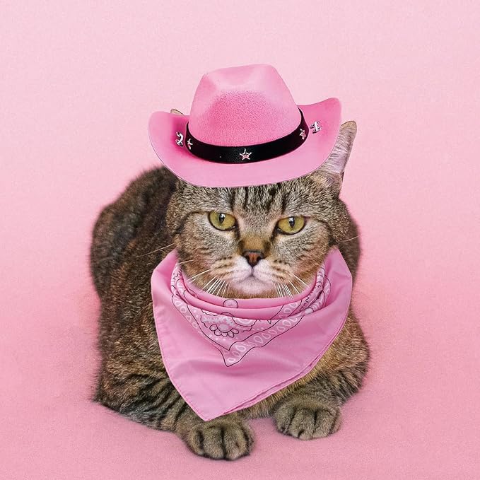 Dog Cowboy Hat and Bandana Scarf Dog Cat Sombrero Puppy Hat Dog Cat Costume, 20 cm, Polyester, Pink