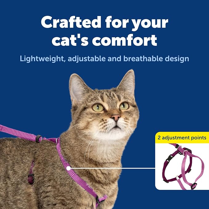 PetSafe Come with Me Kitty Harness and Bungee Leash, Large, Dusty Rose | Adjustable 2-Point Fit Applies Gentle Pressure to Shoulders, Not Neck, for Average and Large Cats with 13 in - 18 in Girth