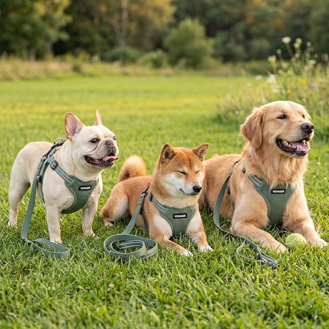 Best Pet Supplies Voyager Adjustable Step-in Flex Breathable Mesh Dog Harness for Small Medium Large Dogs Leash Set (Moss Green), L