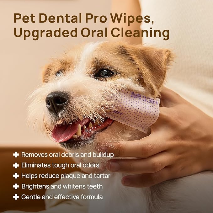 HICC PET Pro Teeth Cleaning Wipes, Vet-Recommended Dog Finger Toothbrush Wipes for Plaque & Fresh Breath, No-Rinse Dog Tooth Brushing Kit, Fresh Breath Oral Care, 50 Count, Unscented