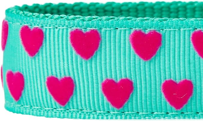 Blueberry Pet Valentine's Day Dog Leash, Velvety Soft-Touch Heart Flocking Lead for Large Dogs, Minty Green, 4 ft x 1"