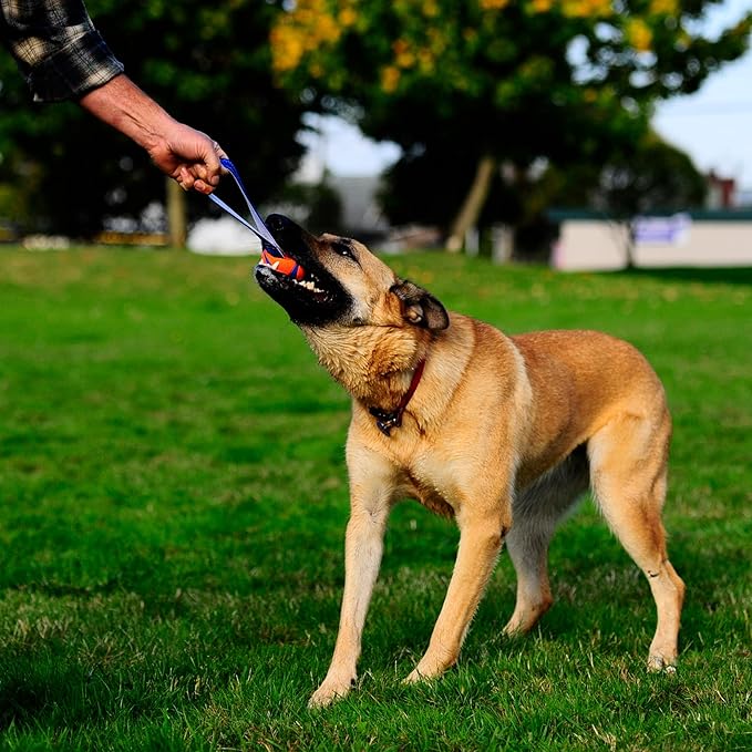 Chuckit! Ultra Tug Dog Toy, Durable Nylon Cord Handle, Large 3-in | Ultra Ball on a Tug-of-War Handle Offers Fetch and Tug Play for Large Breeds 60-100 lbs in Orange and Blue
