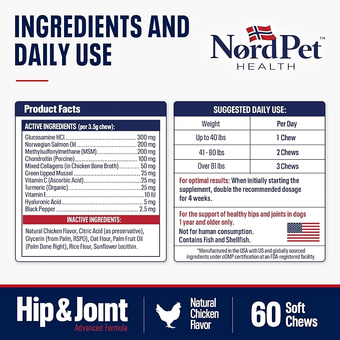 Hip & Joint Supplement for Dogs | Norwegian Salmon Oil, Glucosamine, Chondroitin, MSM, Green Lipped Mussel, Collagen | Mobility Soft Chews for Small, Medium & Large Dogs, 60 Count