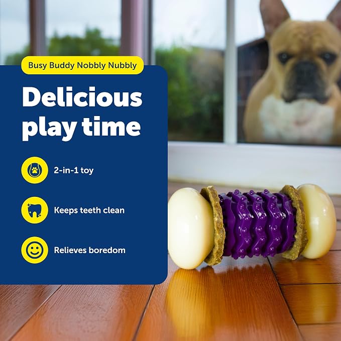 PetSafe Busy Buddy Nobbly Nubbly Treat Holding Dog Chew Toy, Small | Durable Nylon & Vanilla-Scented Rubber, Add Treat Rings or Peanut Butter, Top-Rack Dishwasher Safe, for Dogs 10-25 Lb