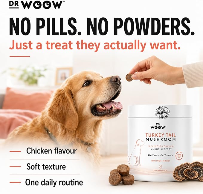 Turkey Tail Mushroom Chews for Dogs (120 Soft Chews) – Immune Support & Gut Health – 7 Mushroom Blend, Salmon Oil & Probiotics – Daily Wellness Supplement – Made in USA – Dr. Woow