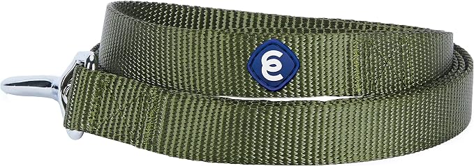 Blueberry Pet Essentials Military Green Dog Leash for Small -5' * 5/8" Dogs | Heavy Duty Nylon Lead | Lightweight Puppy & Cat Leash for Walking & Training