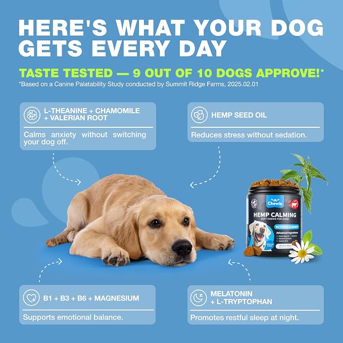 Hemp Calming Chews for Dogs Anxiety Relief