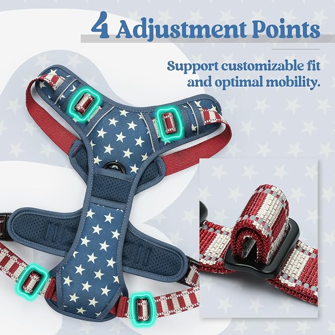 rabbitgoo Dog Harness, No Pull Medium Sized with 2 Leash Clips, Pet Vest | No Choke with Handle, Adjustable Soft Padded, Reflective, Easy Control for Walking, Blue Star, Medium